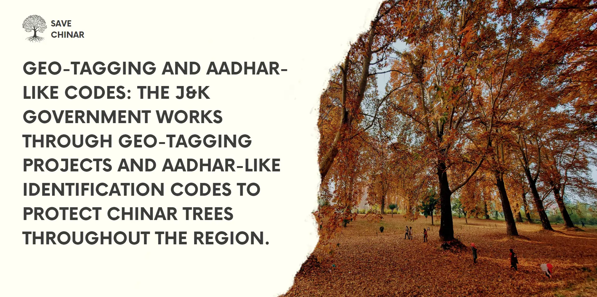 geo-tagging-and-aadhar-likes-codes