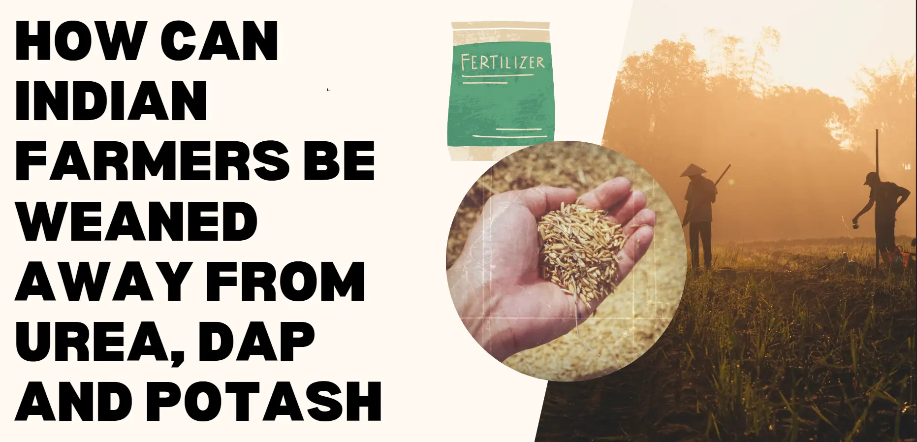 dap-and-potash