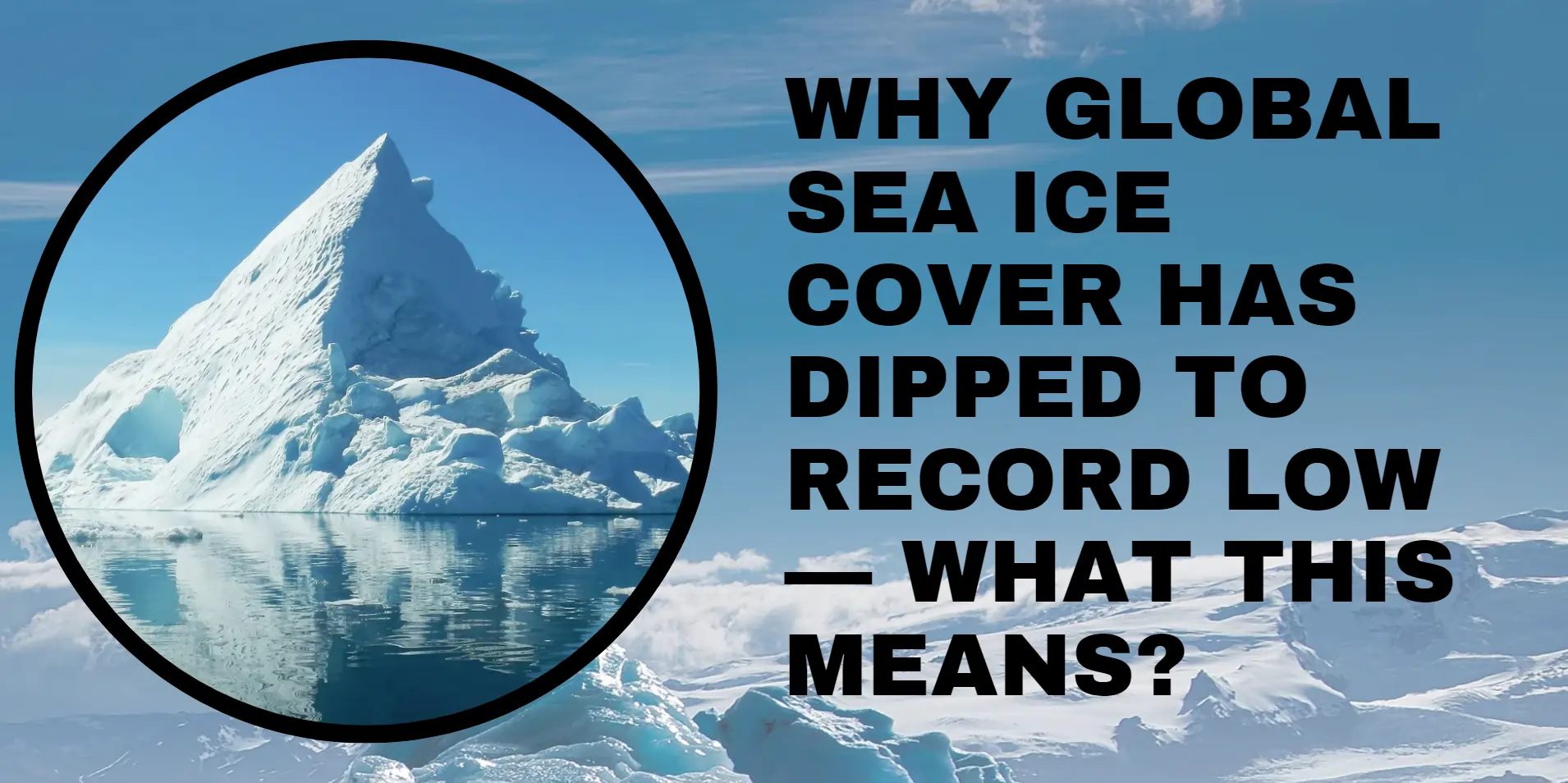 global-sea-ice-cover