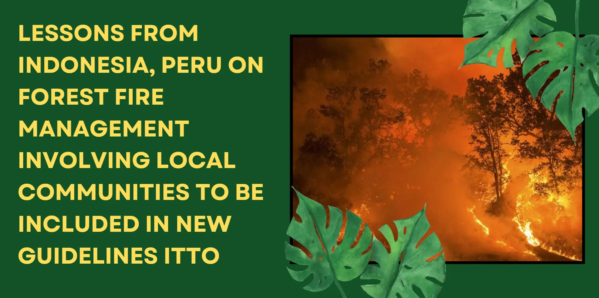 indonesia-peru-on-forest-fire-management