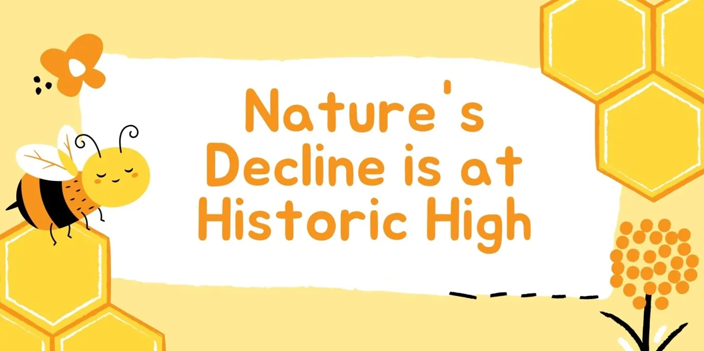 nature-decline