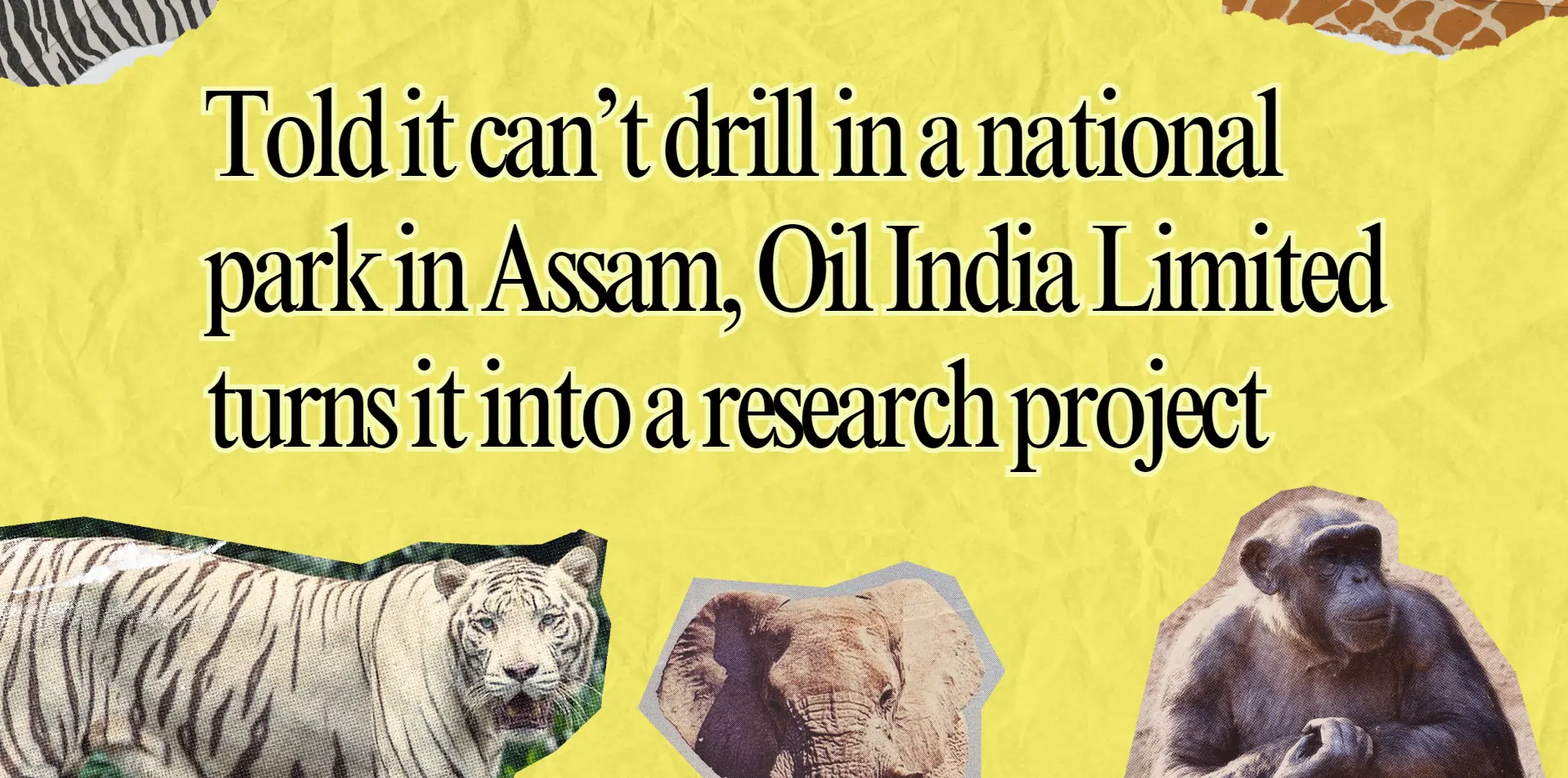 oil-india-limited-turns-into-a-research-project-in-a-national-park