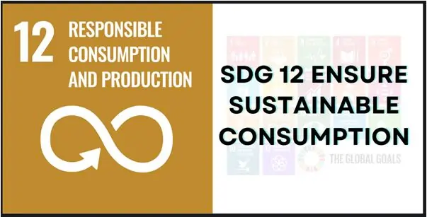 responsible-consumption-and-production