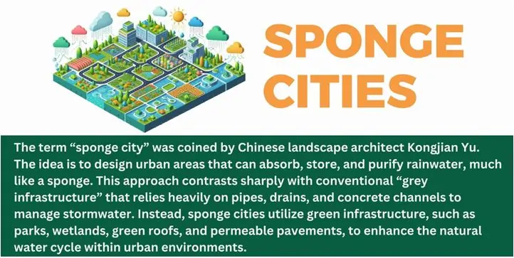 sponge-city