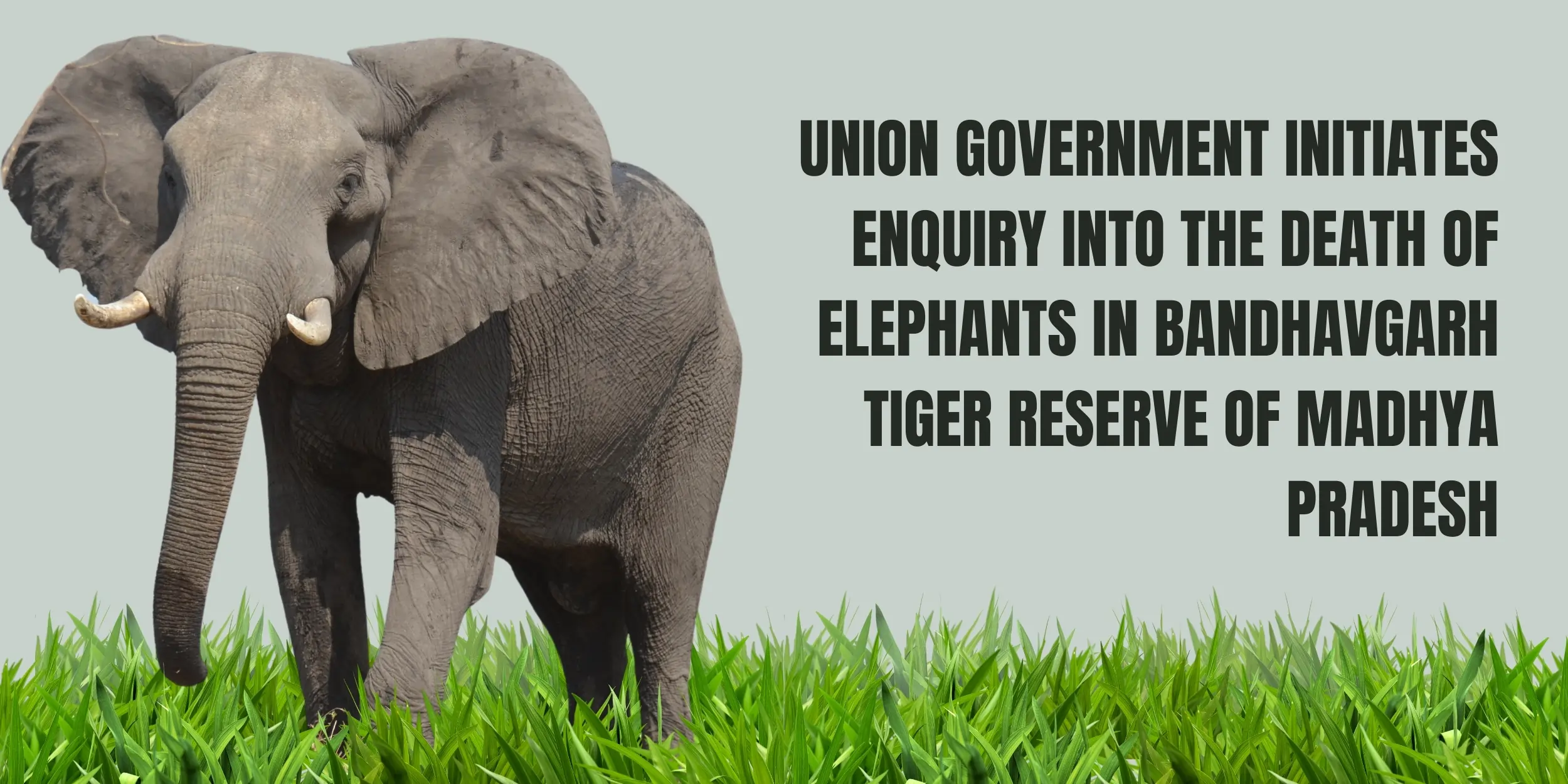 union-government