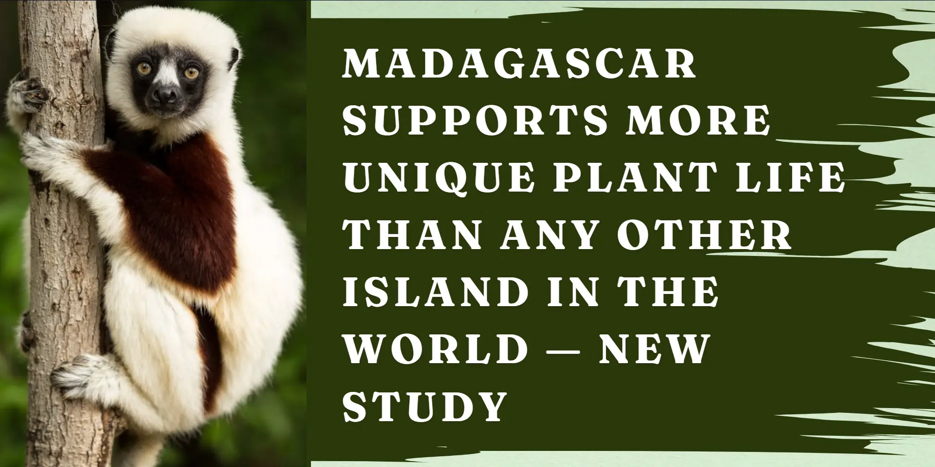 madagascar