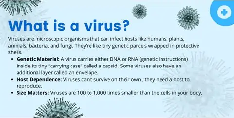 what is a virus?